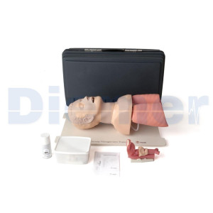 Advanced Professional Intubation Head